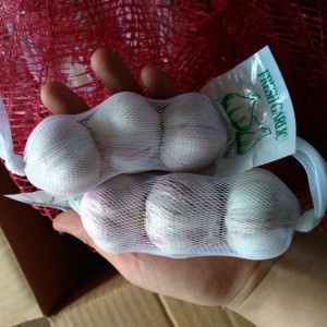 Компания "ЦинВэй" начала отправки чеснока - урожай 2016 года!