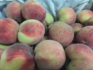 Персики от "ЦинВэй" - урожай 2016 года! 