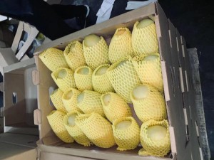 Shanghai QinWei - поставки манго круглый год