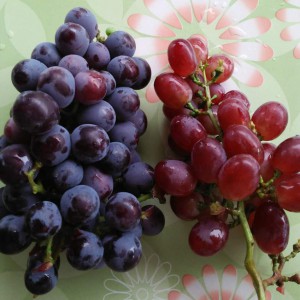Черный и красный виноград урожай 2016г.